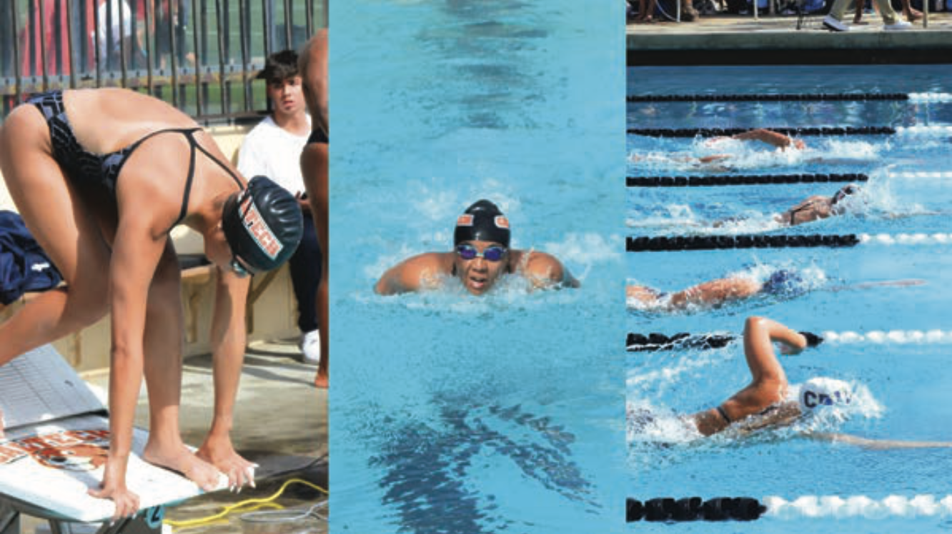 Various photos of people swimming