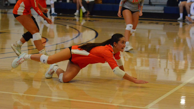 Beavers Battle Strong Across Fall Sports as Season Heads Into Home Stretch