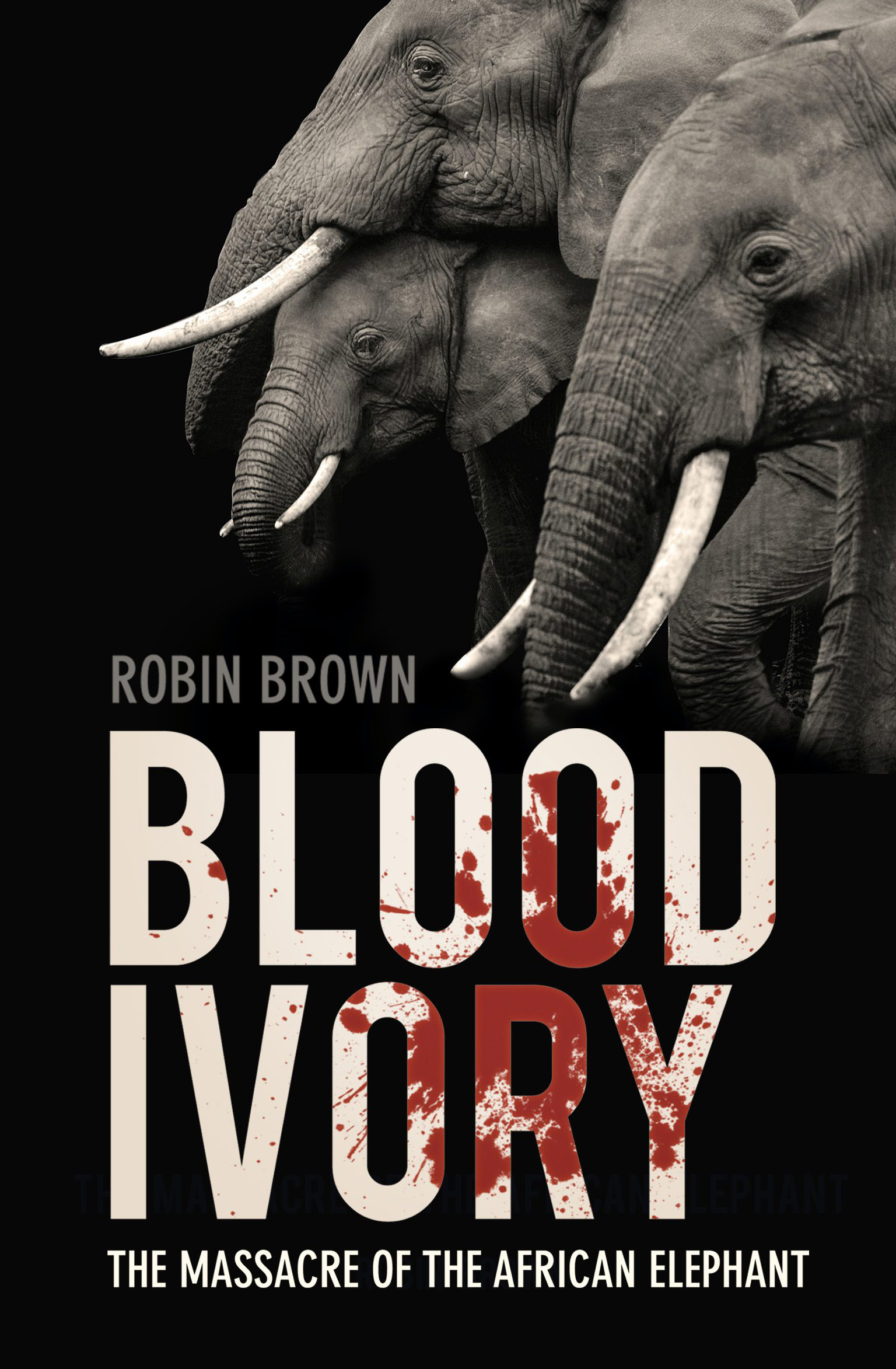 Tusks and Wonder: A Review of Blood Ivory