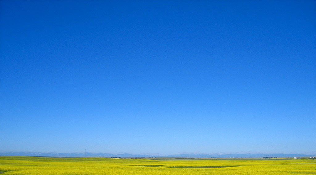 The Shape of Canadian Quixotry: A Note on Alberta Separatism