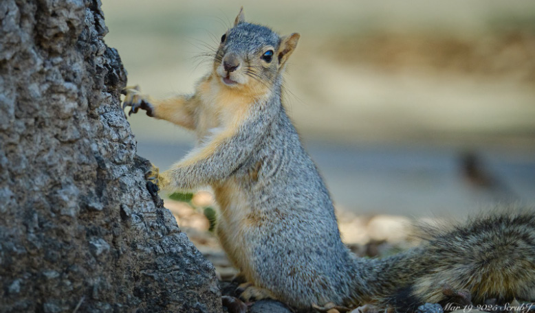 The Unwritten Curriculum of Keeping Good Mental Health: Some Insider Tips